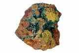 Gemmy Dioptase Clusters with Mimetite - N'tola Mine, Congo #148466-1